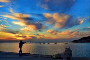 探尋光影之美 網(wǎng)絡(luò)攝影大賽官方網(wǎng)站的魅力