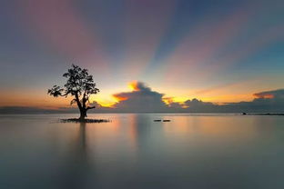 70幅光影詩(shī)篇 自然與風(fēng)光攝影的視覺(jué)盛宴